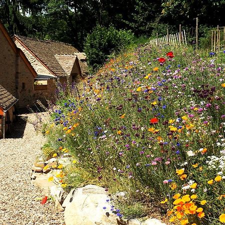 Domaine des Marequiers chambre Alchemille Saint-Germain-du-Teil Extérieur photo