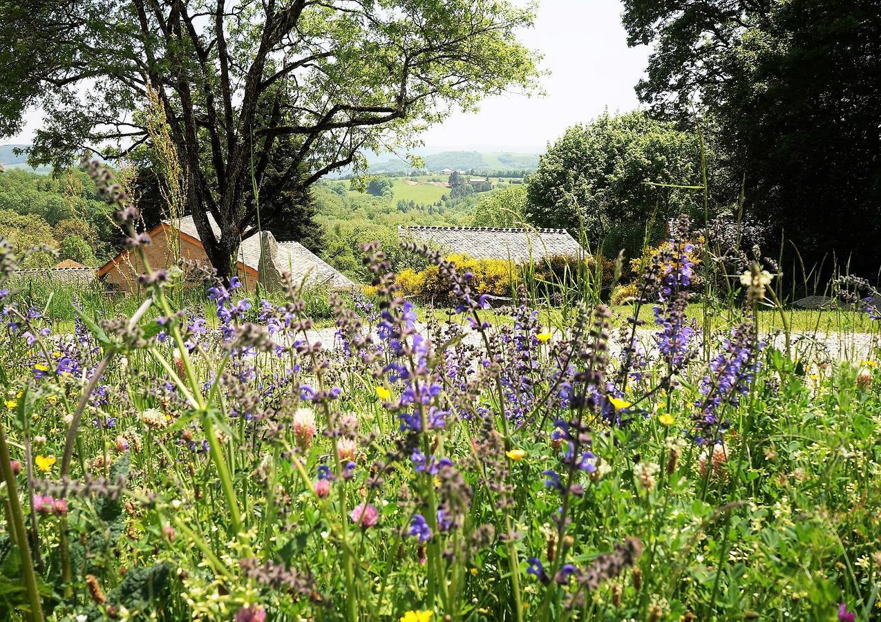 Domaine des Marequiers chambre Alchemille Saint-Germain-du-Teil Extérieur photo